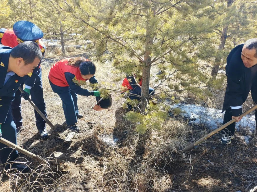 女人与公狍交酡女免费