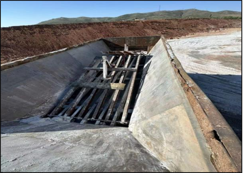 女人与公狍交酡女免费