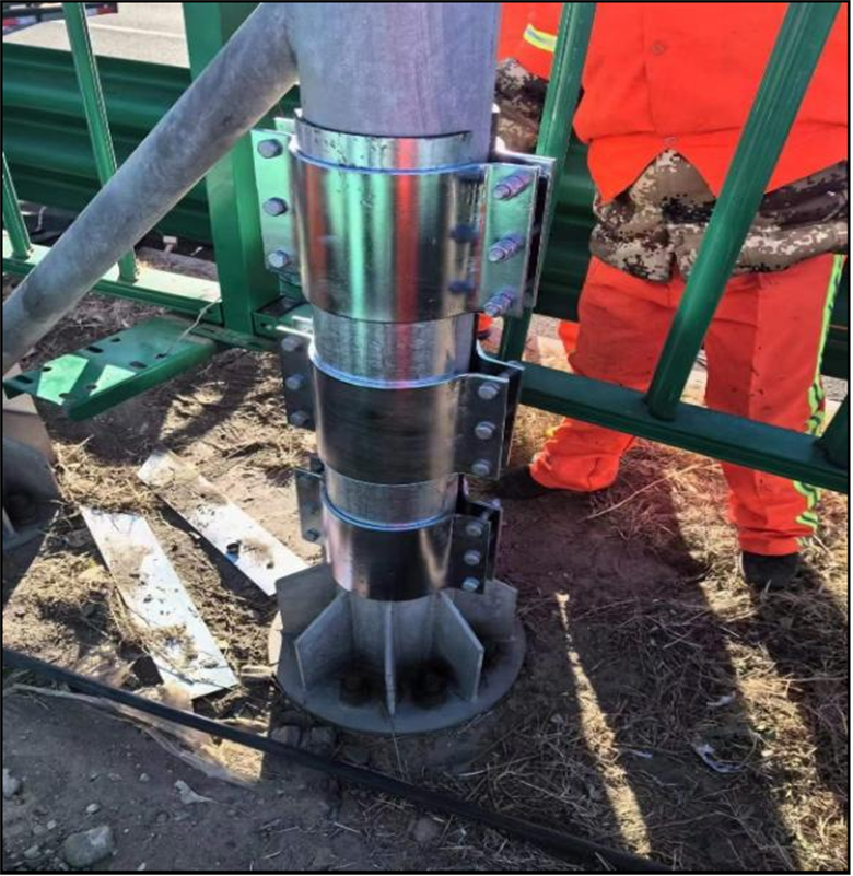 女人与公狍交酡女免费