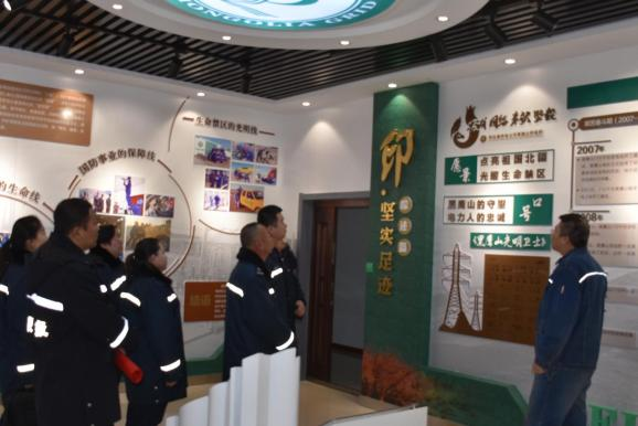 女人与公狍交酡女免费