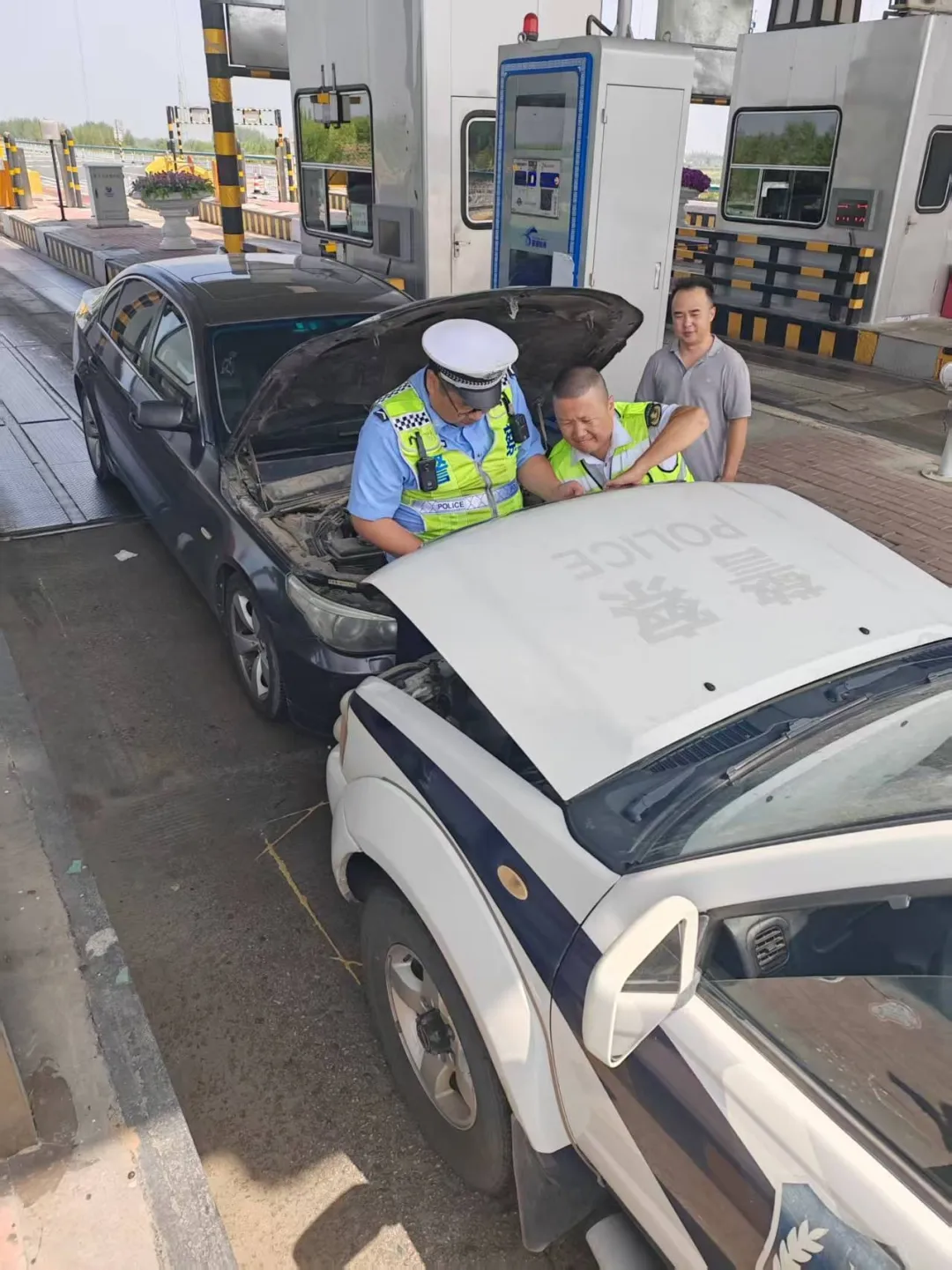 女人与公狍交酡女免费