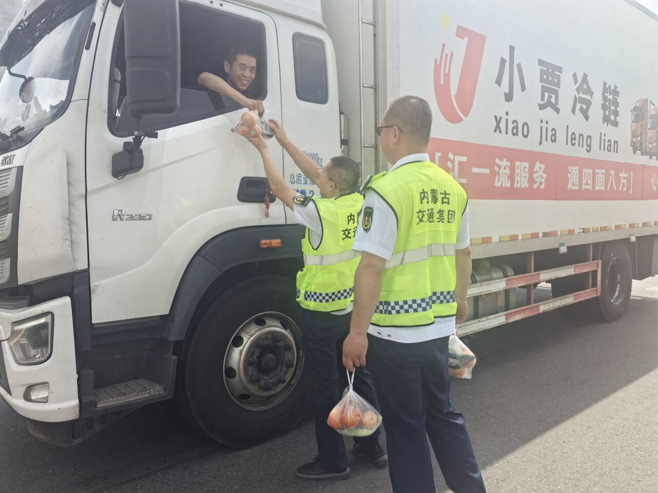 女人与公狍交酡女免费