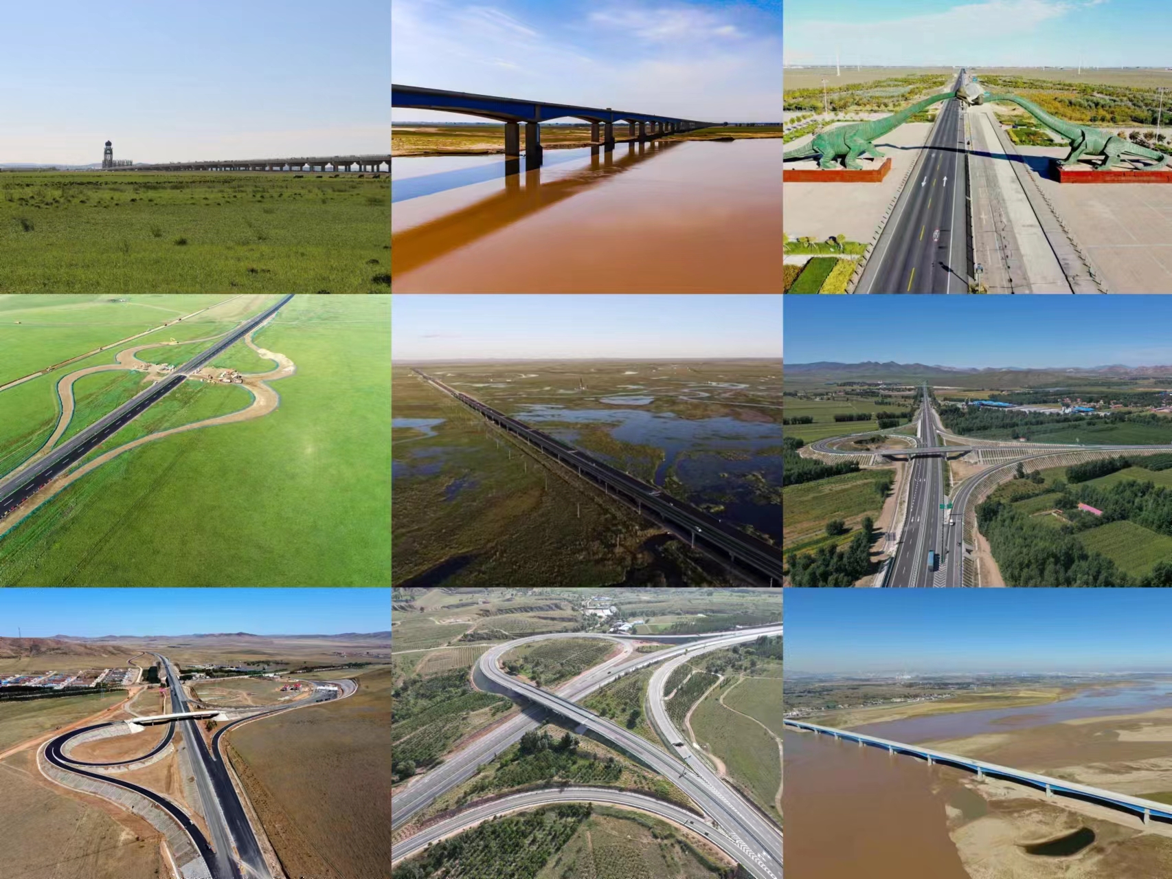 女人与公狍交酡女免费