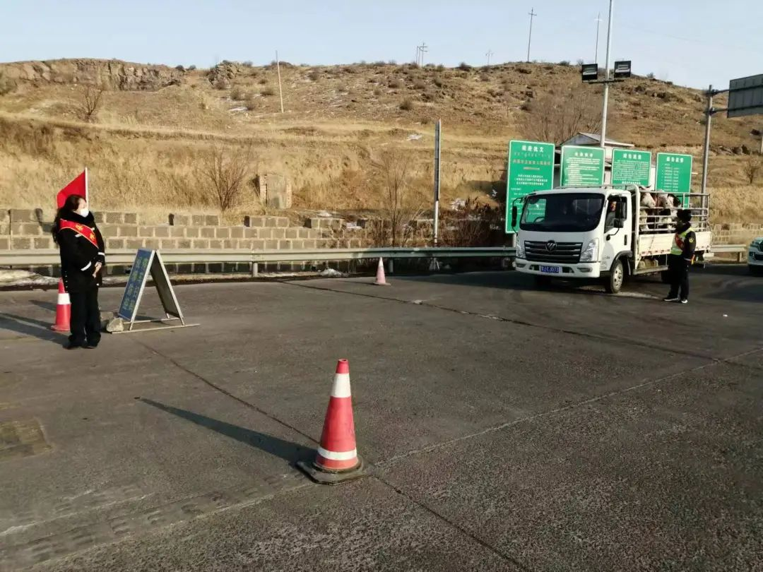 女人与公狍交酡女免费