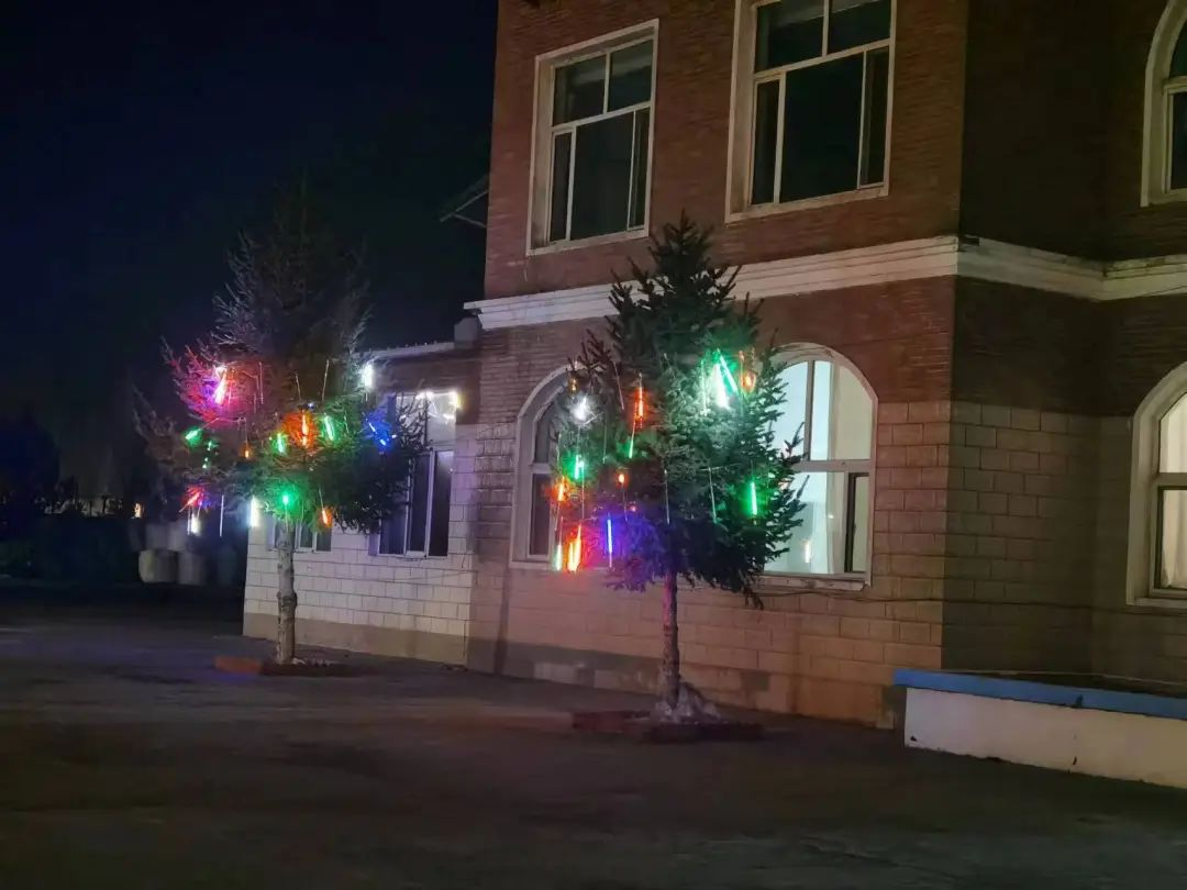 女人与公狍交酡女免费