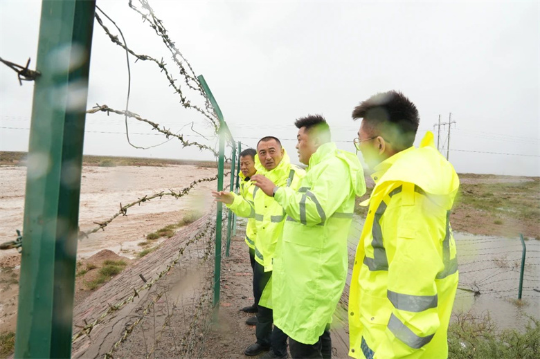 女人与公狍交酡女免费