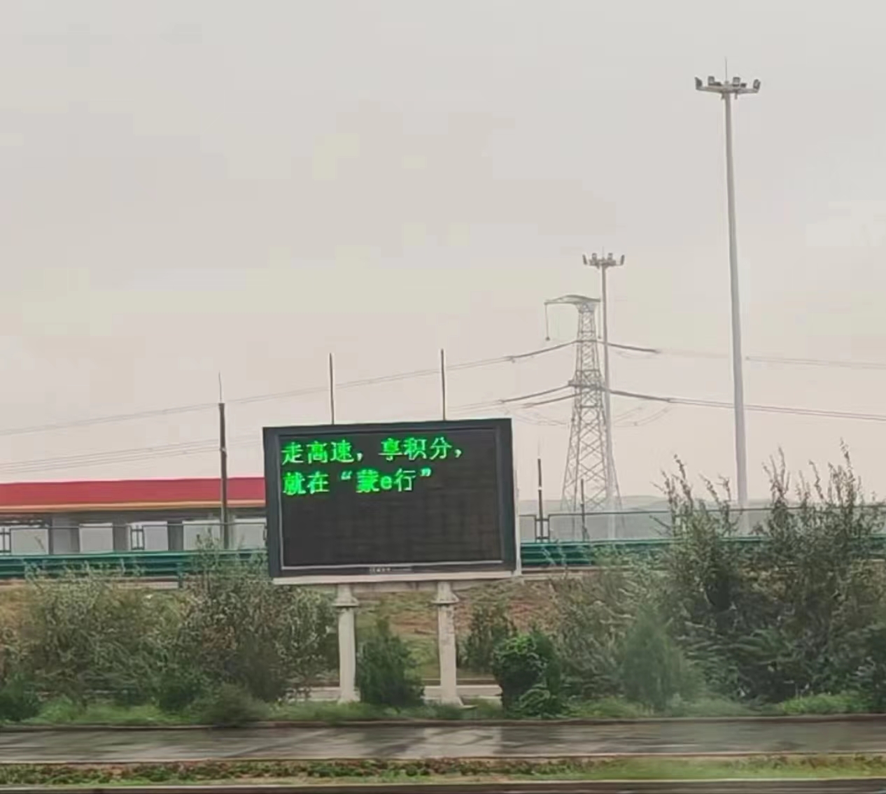 女人与公狍交酡女免费