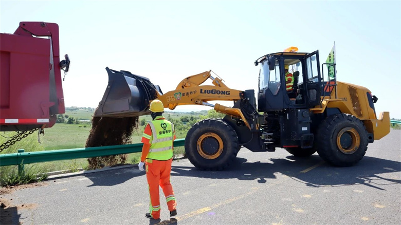 女人与公狍交酡女免费