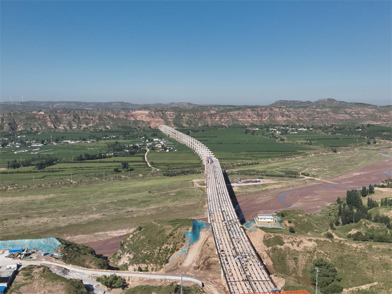 女人与公狍交酡女免费