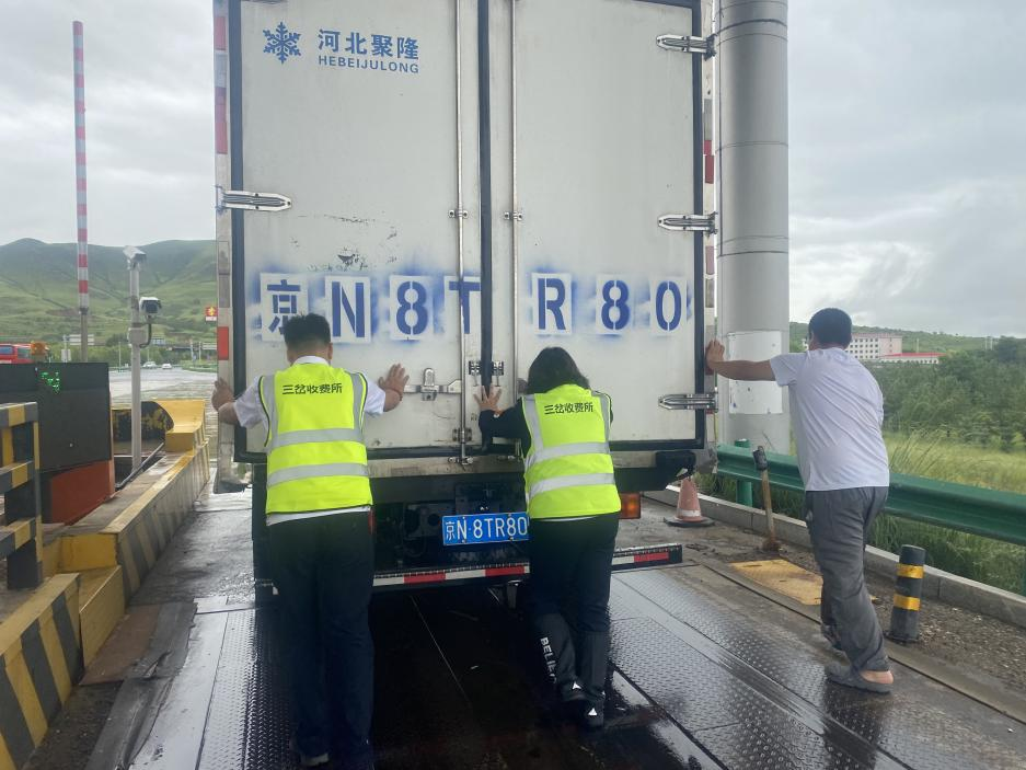 女人与公狍交酡女免费