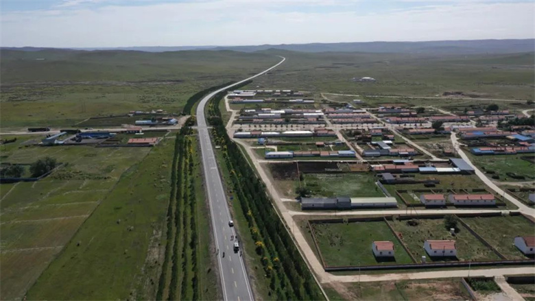 女人与公狍交酡女免费