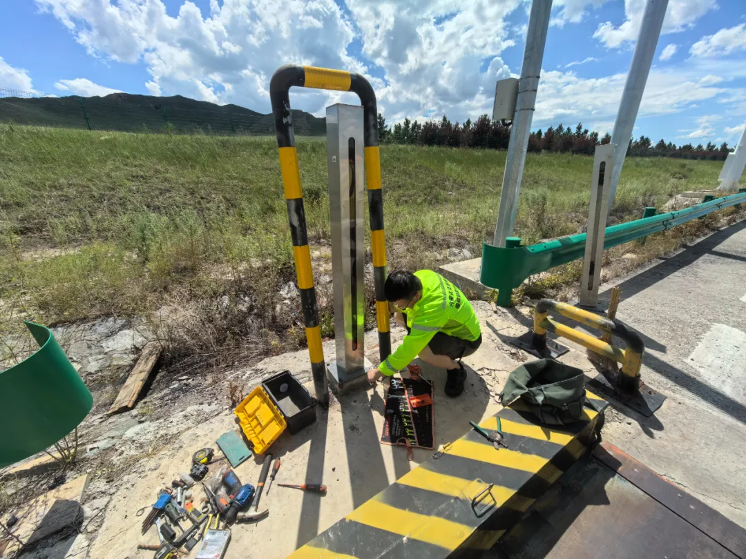 女人与公狍交酡女免费