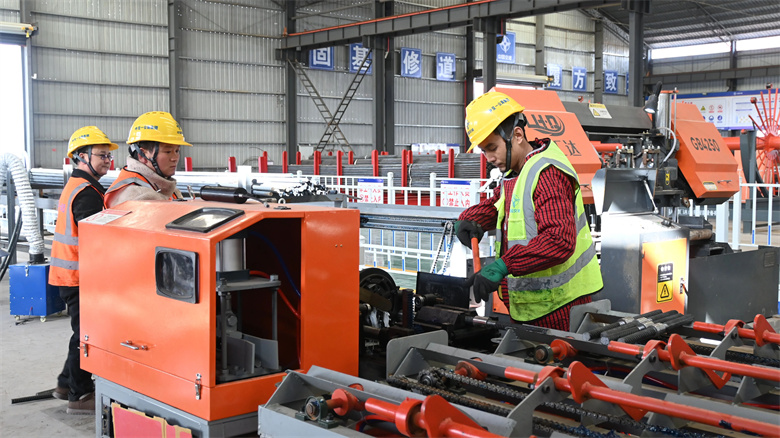女人与公狍交酡女免费