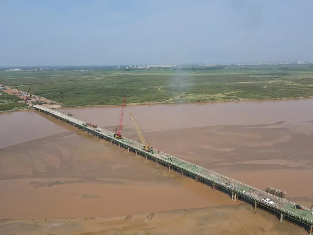 女人与公狍交酡女免费