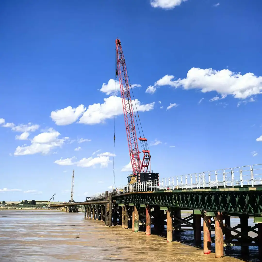 女人与公狍交酡女免费