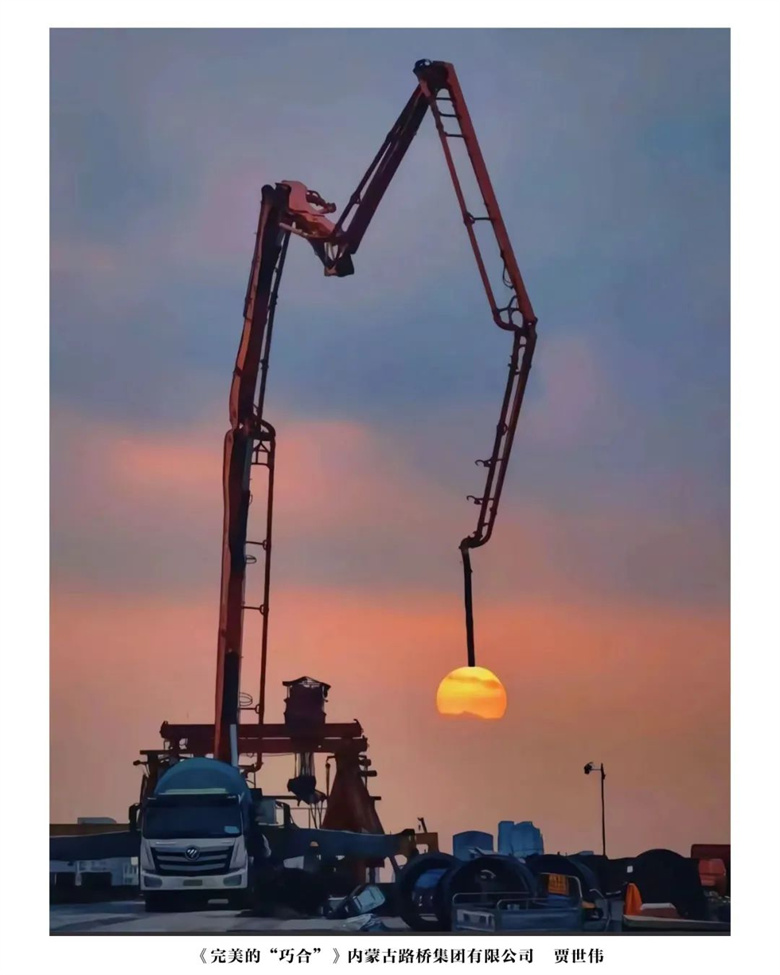 女人与公狍交酡女免费