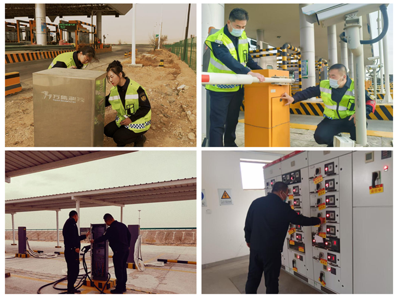 女人与公狍交酡女免费