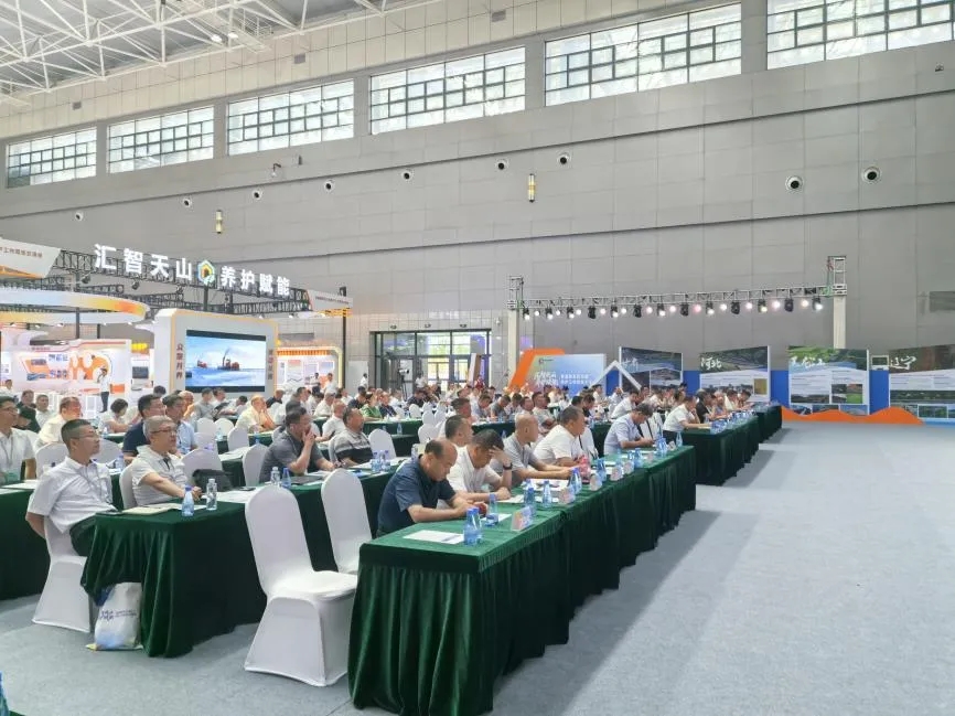 女人与公狍交酡女免费