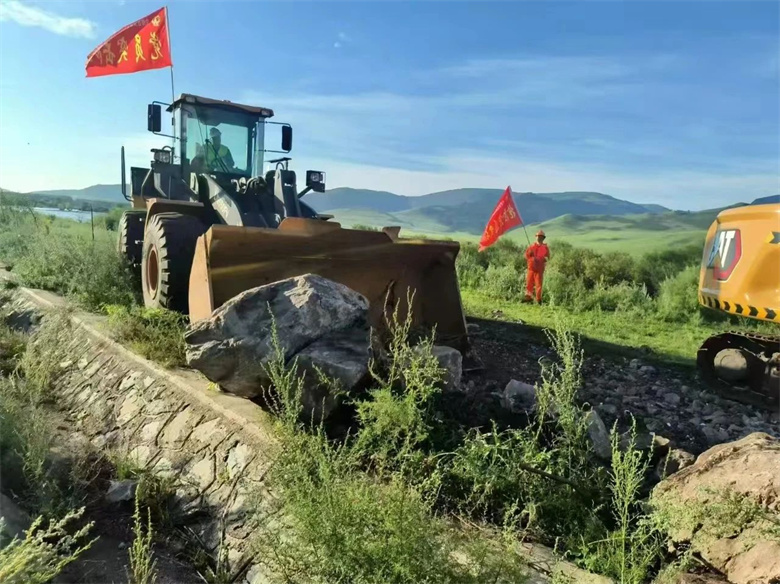 女人与公狍交酡女免费