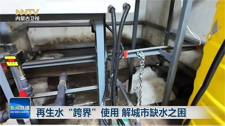 女人与公狍交酡女免费