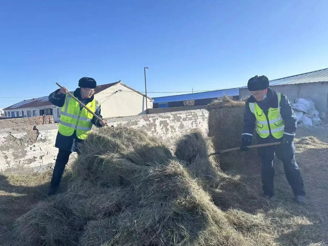 女人与公狍交酡女免费