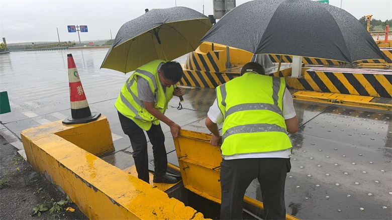 女人与公狍交酡女免费