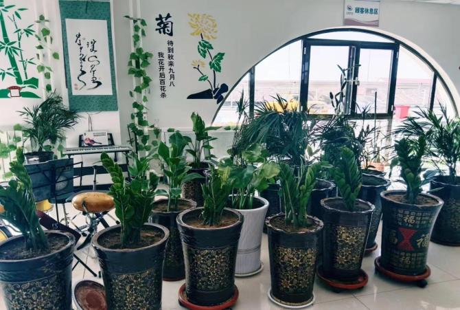 女人与公狍交酡女免费