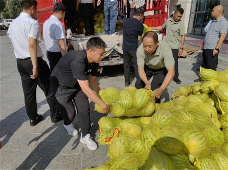女人与公狍交酡女免费