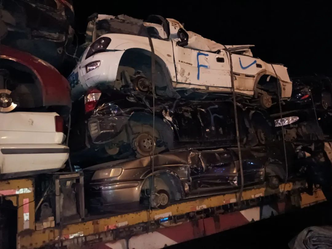 女人与公狍交酡女免费