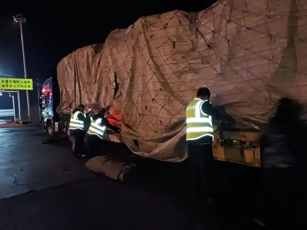 女人与公狍交酡女免费