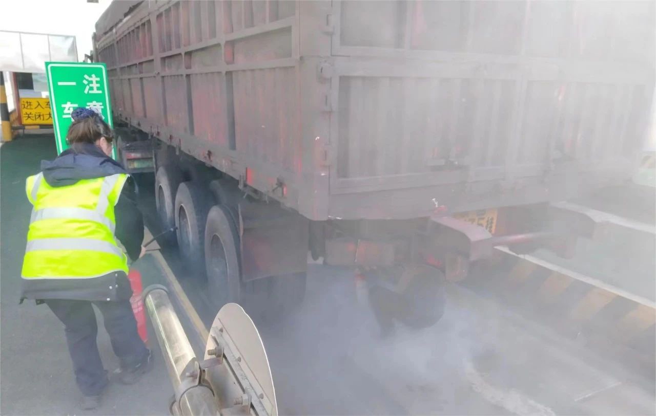 女人与公狍交酡女免费