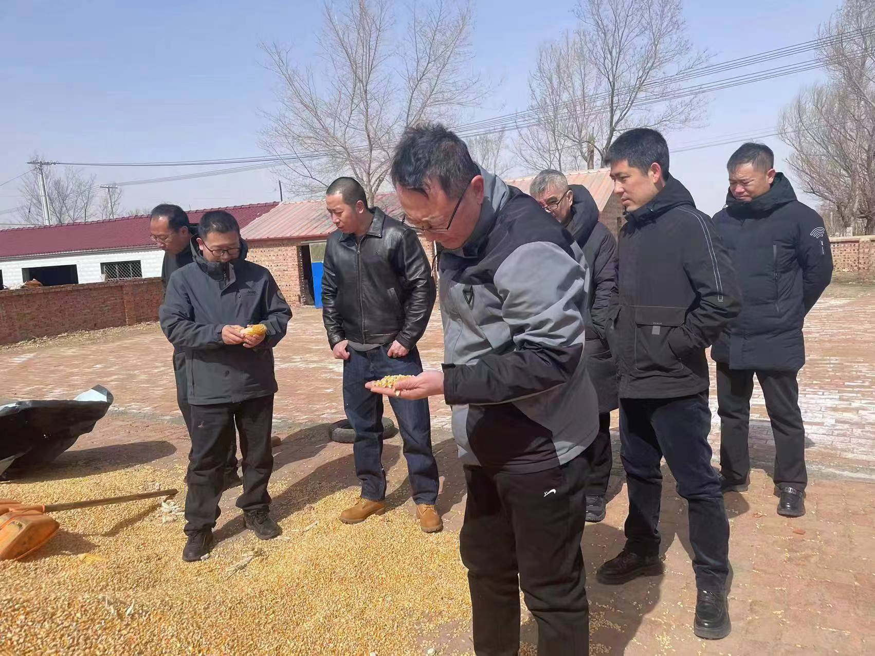 女人与公狍交酡女免费