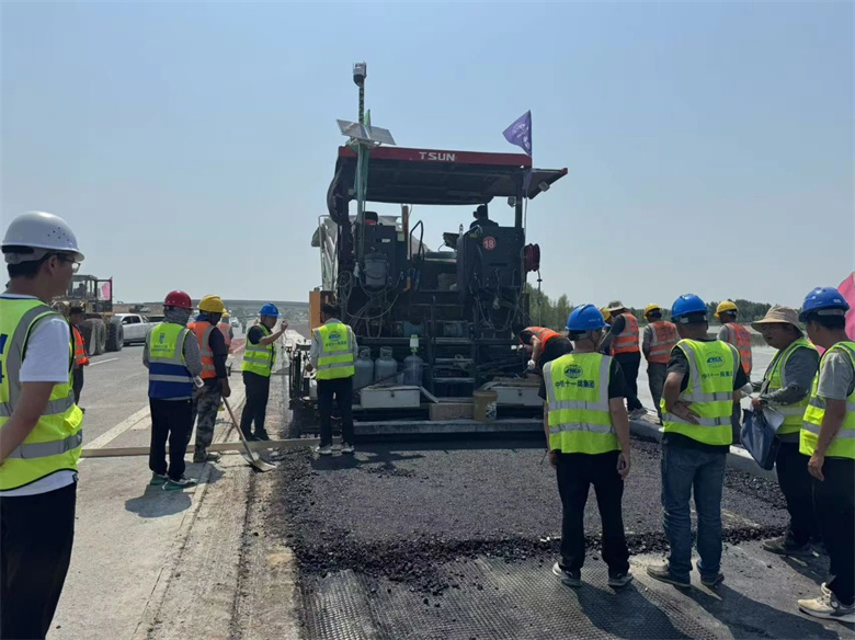 女人与公狍交酡女免费