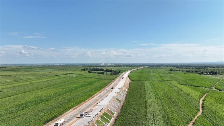 女人与公狍交酡女免费