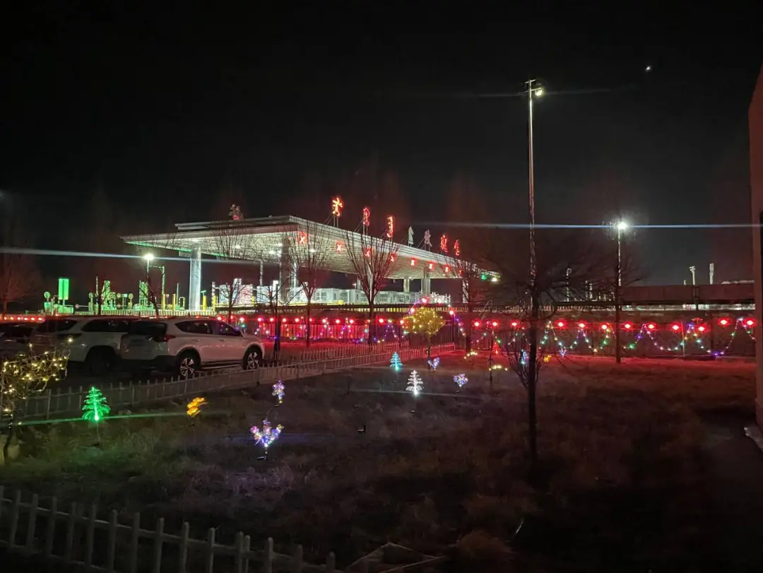 女人与公狍交酡女免费