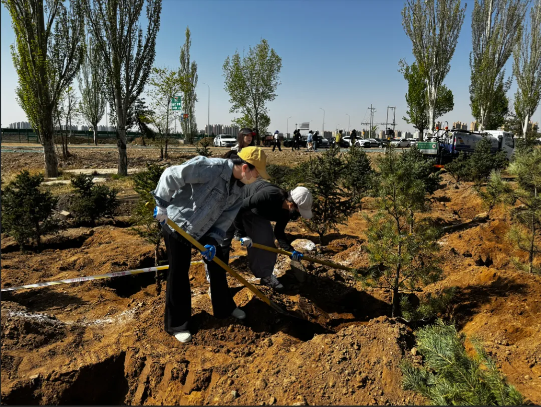 女人与公狍交酡女免费