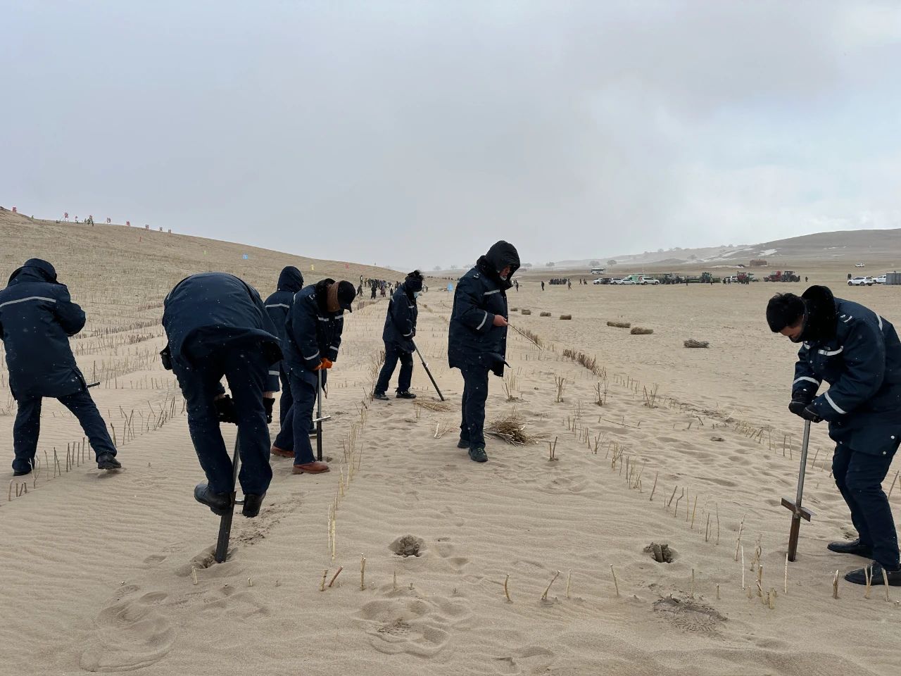 女人与公狍交酡女免费