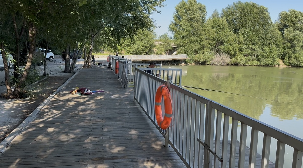 女人与公狍交酡女免费