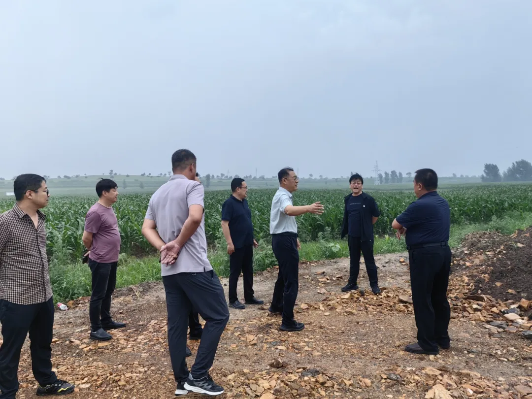 女人与公狍交酡女免费