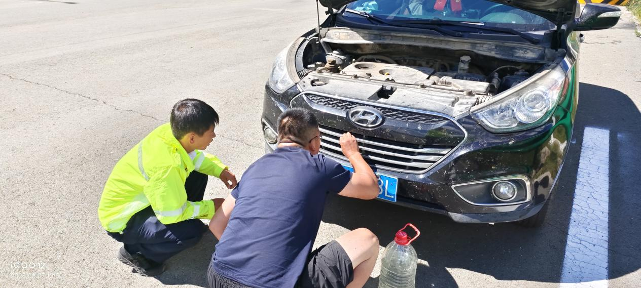 女人与公狍交酡女免费