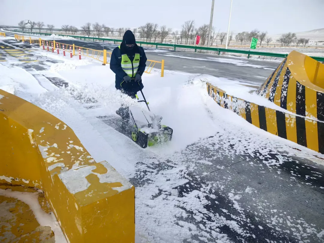 女人与公狍交酡女免费