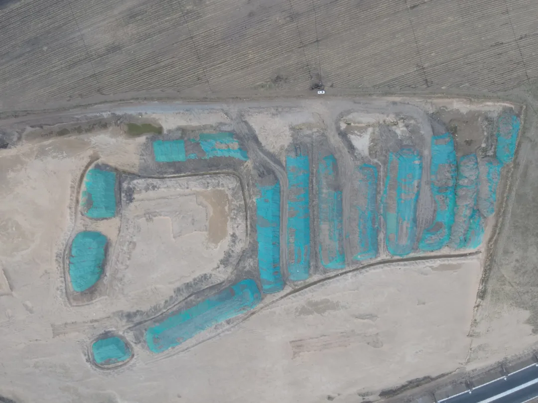 女人与公狍交酡女免费