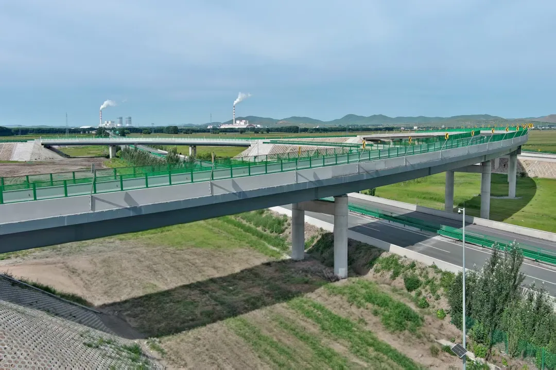 女人与公狍交酡女免费