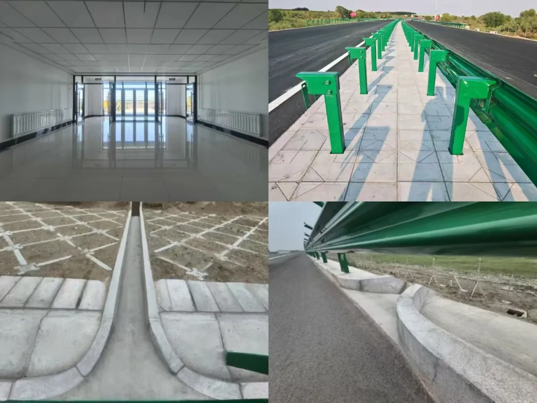 女人与公狍交酡女免费