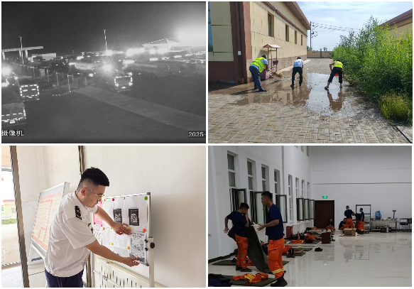 女人与公狍交酡女免费