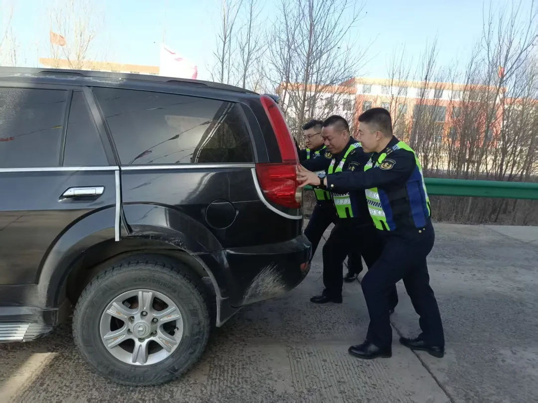 女人与公狍交酡女免费