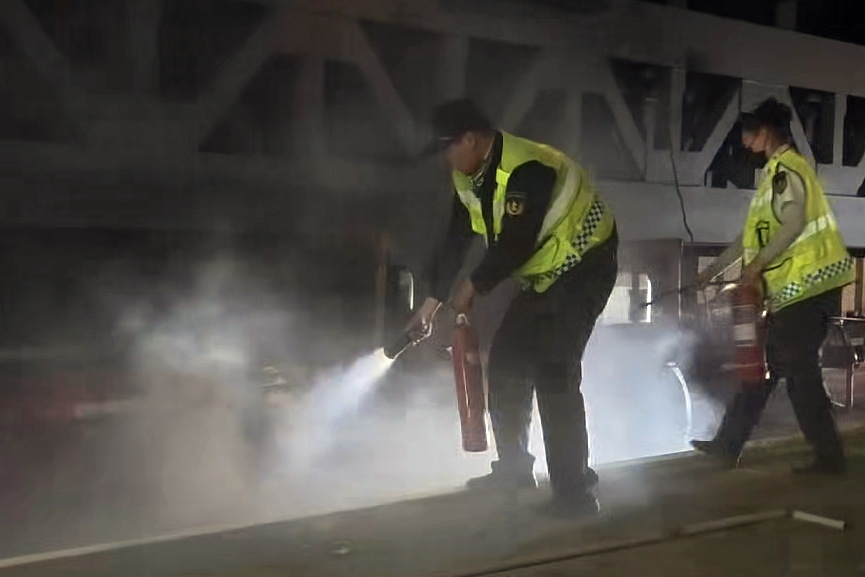 女人与公狍交酡女免费