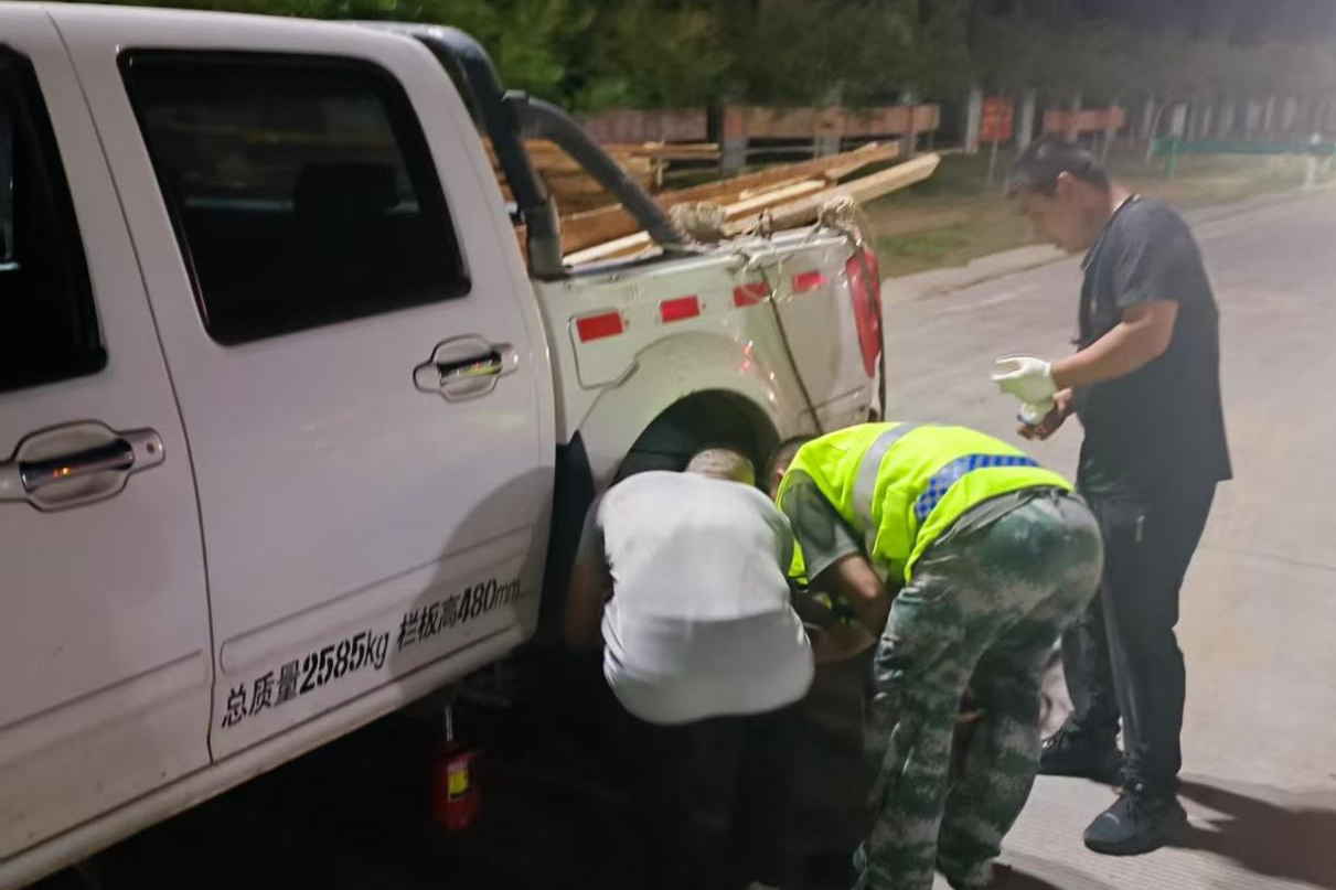 女人与公狍交酡女免费