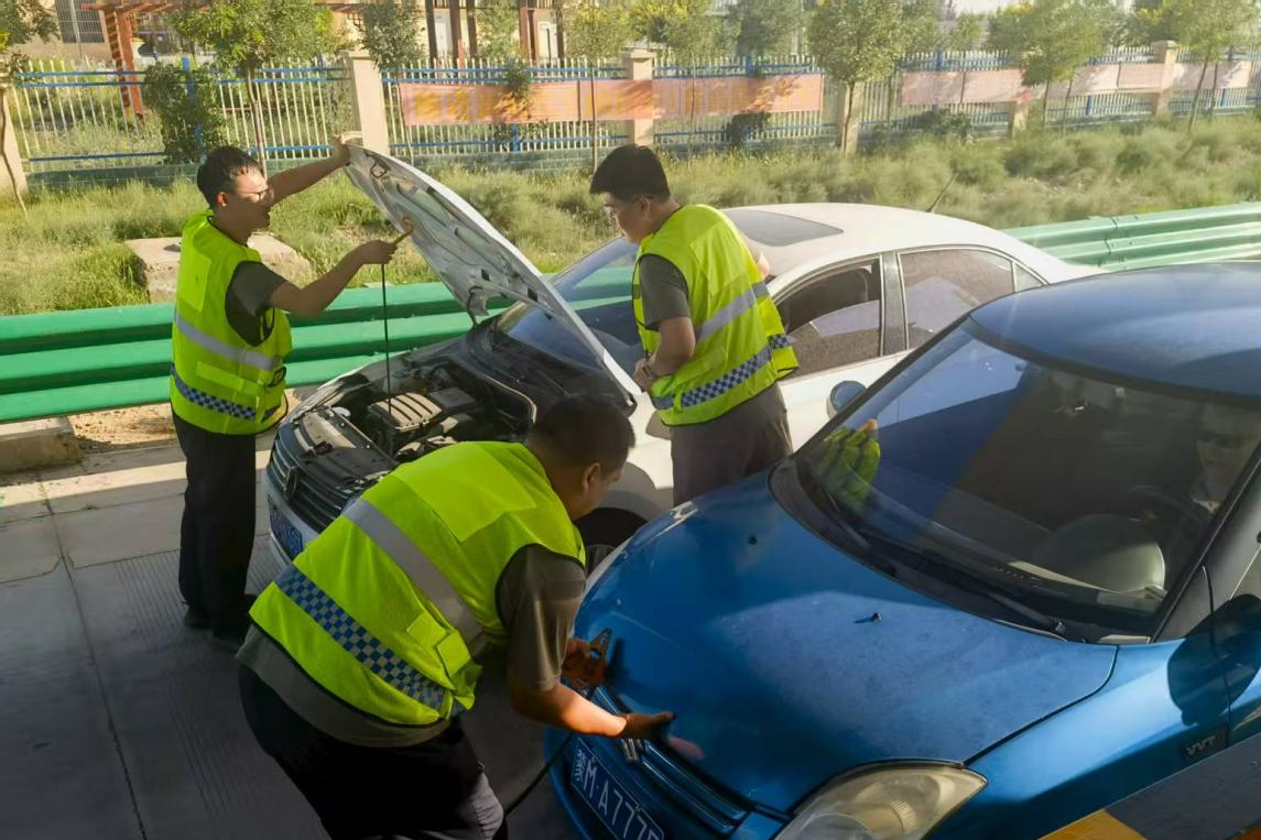 女人与公狍交酡女免费