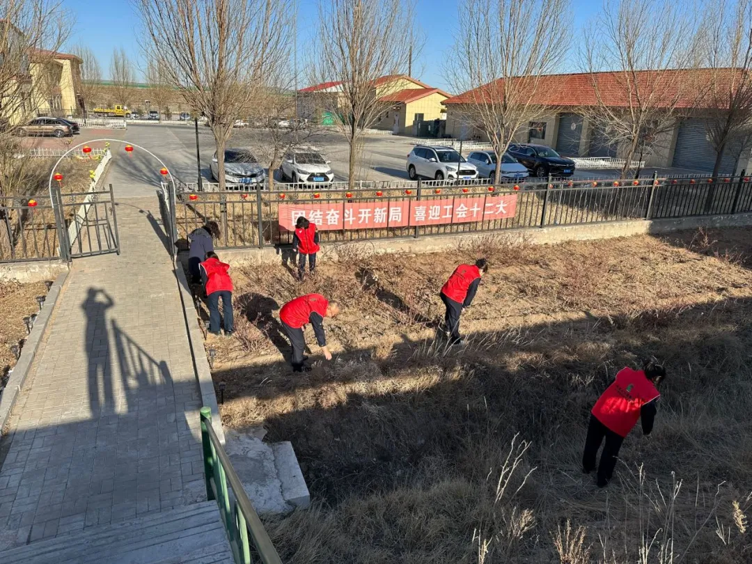 女人与公狍交酡女免费